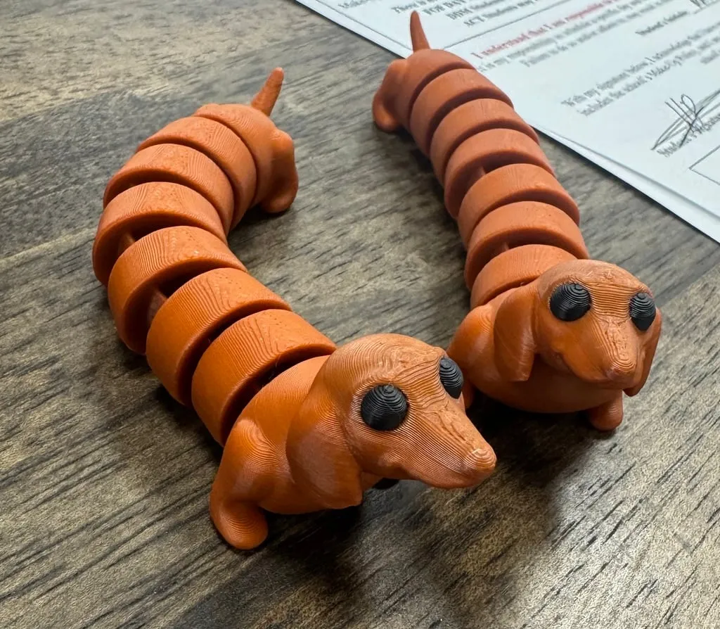 flexi dog